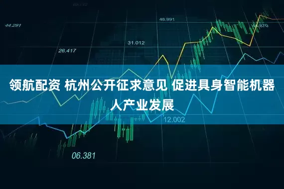 领航配资 杭州公开征求意见 促进具身智能机器人产业发展